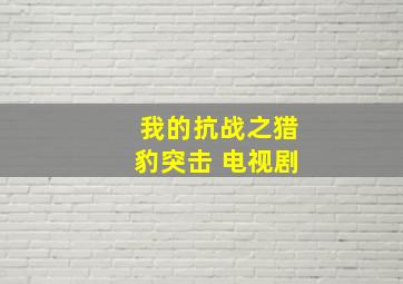 我的抗战之猎豹突击 电视剧